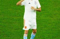 AYX官方直播-意甲球员负伤下场，全队团结拼搏取胜