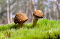 爱游戏在线-特奥一剑封喉，摩纳哥正面击溃勒沃库森的背后战术密码