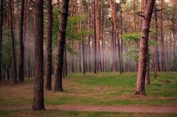 AYX官方直播-欧冠半决赛之夜，米切尔关键回合不手软，一球定乾坤