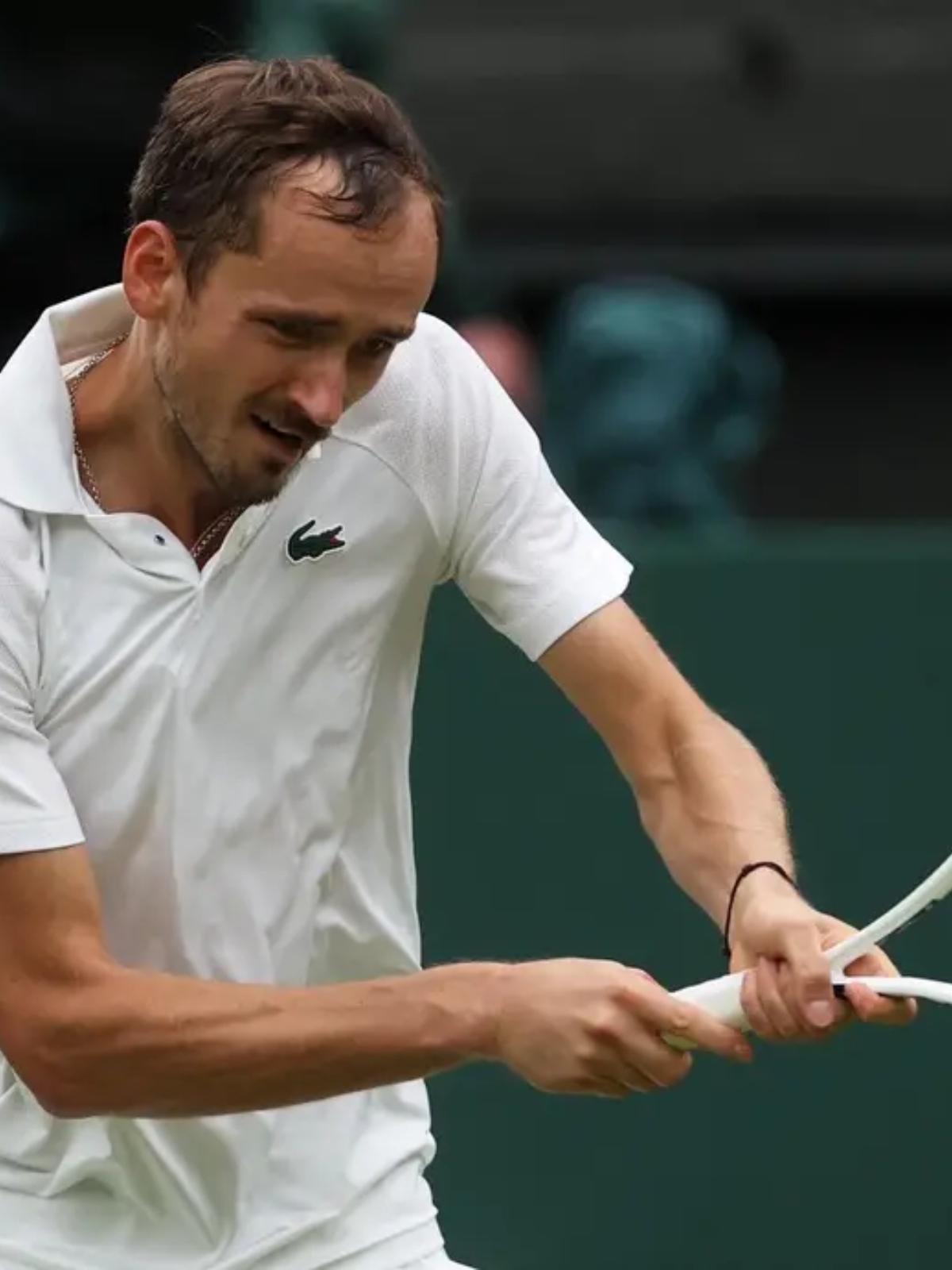 拉沃尔杯碾压温网,梅德韦杰夫高光表现的简单介绍 拉沃尔杯碾压温网,梅德韦杰夫高光表现的简单介绍