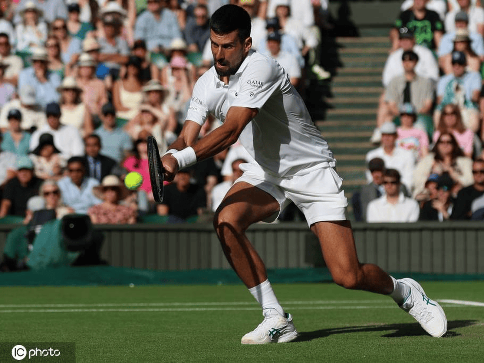 温网完胜蒙特卡洛大师赛，德约科维奇刷新纪录的简单介绍