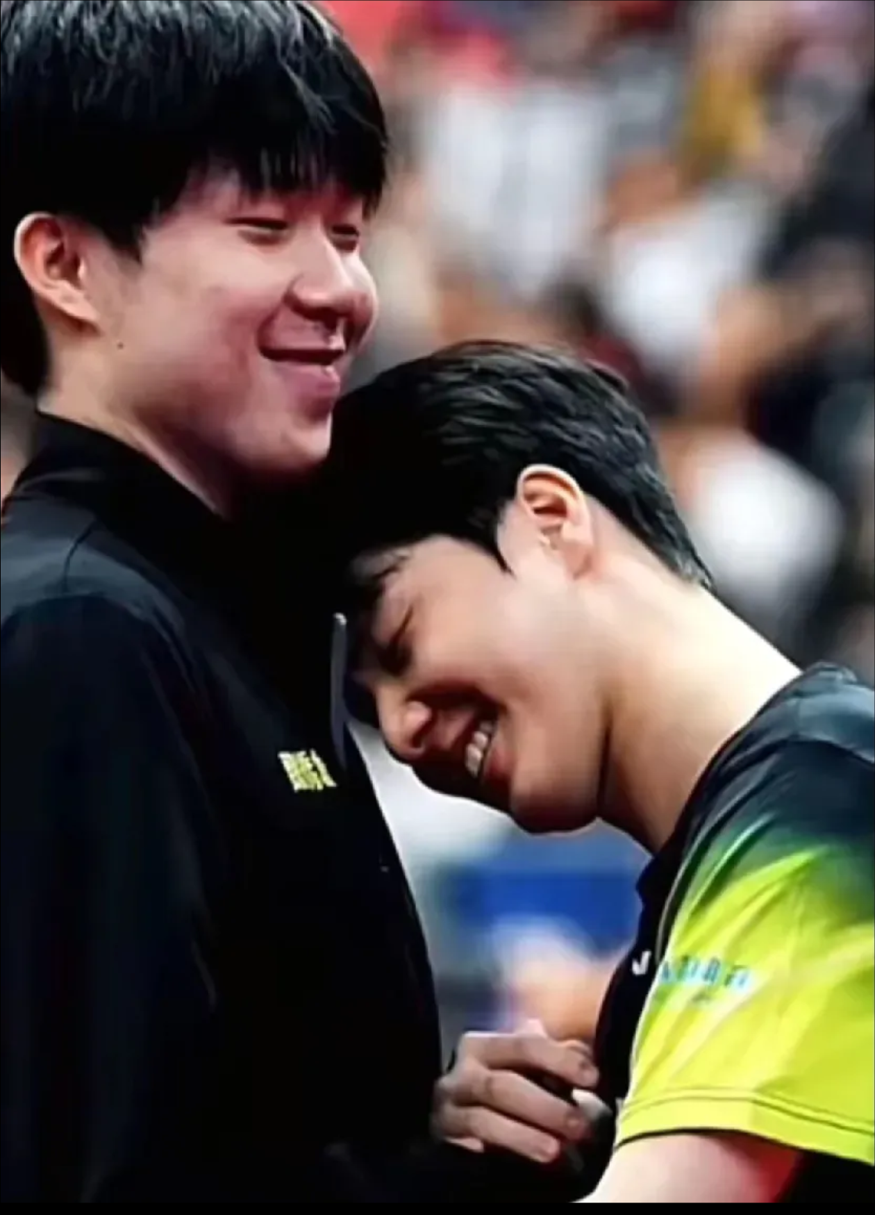 奥地利队翻盘瑞典队，张本智和刷新纪录的简单介绍