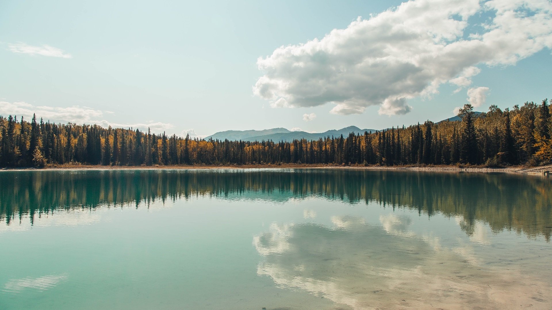 赛道与球场,利拉德接管F1揭幕战,勇士加时险胜猛龙的双重奏