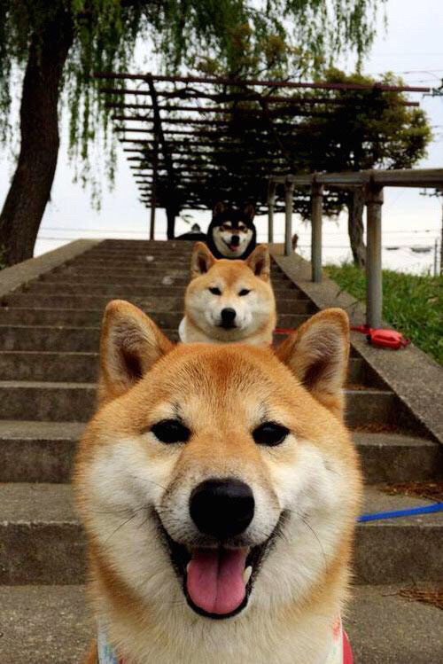 劳塔罗，当蓝黑利刃刺穿非洲雄鹰—克罗地亚与尼日利亚对决中的唯一主宰